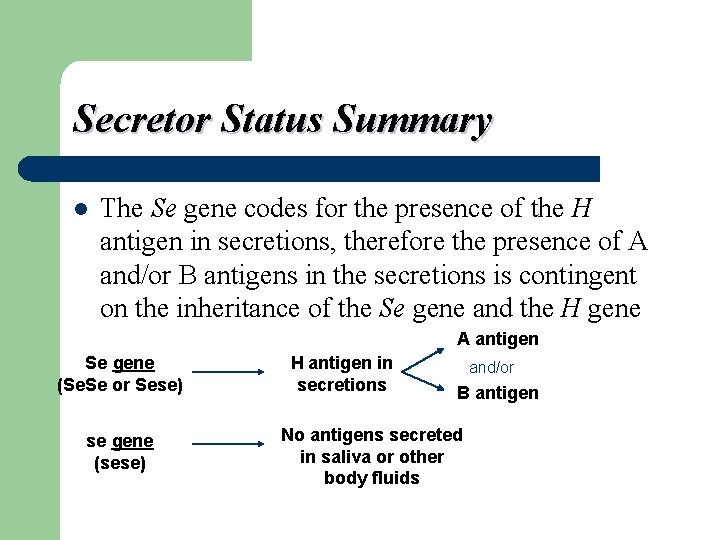 Secretor Status Summary l The Se gene codes for the presence of the H