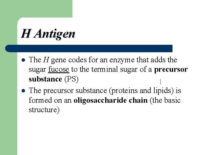 H Antigen l l The H gene codes for an enzyme that adds the