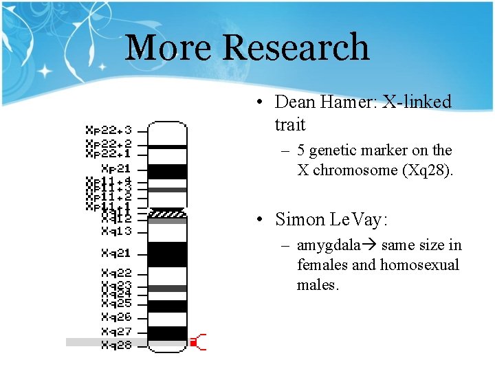 More Research • Dean Hamer: X-linked trait – 5 genetic marker on the X