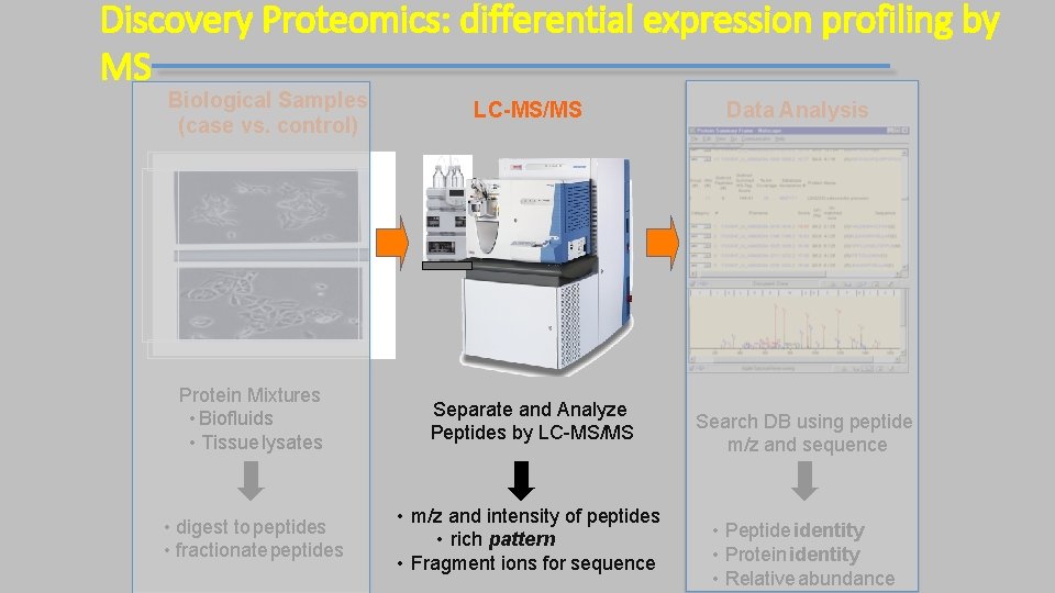 Discovery Proteomics: differential expression profiling by MS Biological Samples (case vs. control) LC-MS/MS Protein