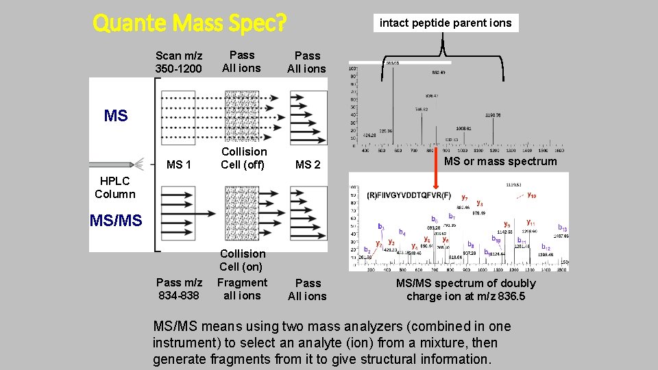 Quante Mass Spec? intact peptide parent ions Scan m/z 350 -1200 Pass All ions