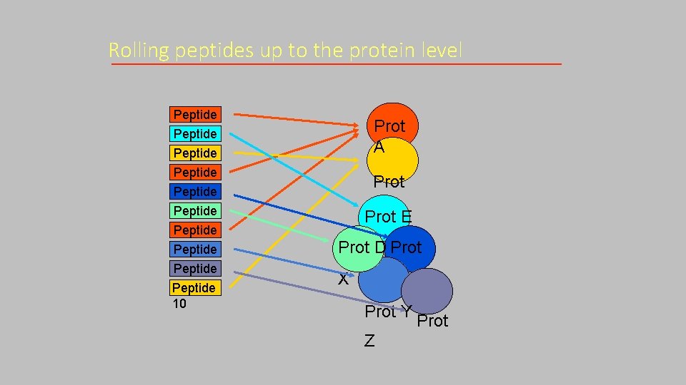 Rolling peptides up to the protein level Peptide 1 Peptide 2 Peptide 3 Peptide