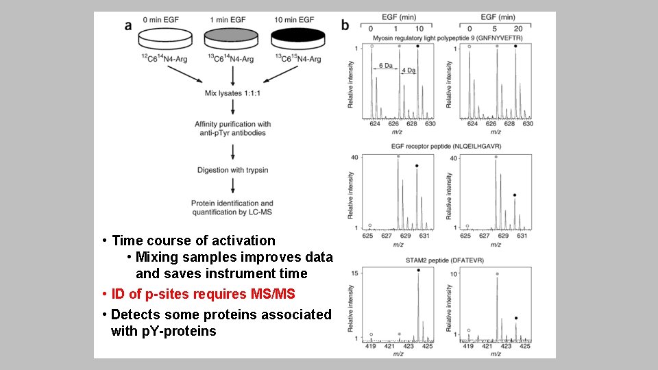  • Time course of activation • Mixing samples improves data and saves instrument