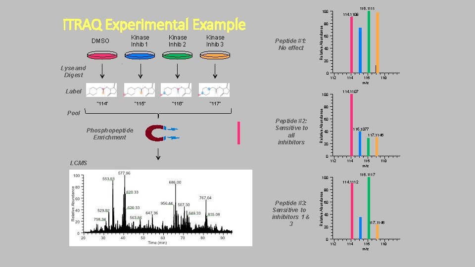 116. 1111 i. TRAQ Experimental Example DMSO Kinase Inhib 1 Kinase Inhib 2 Kinase