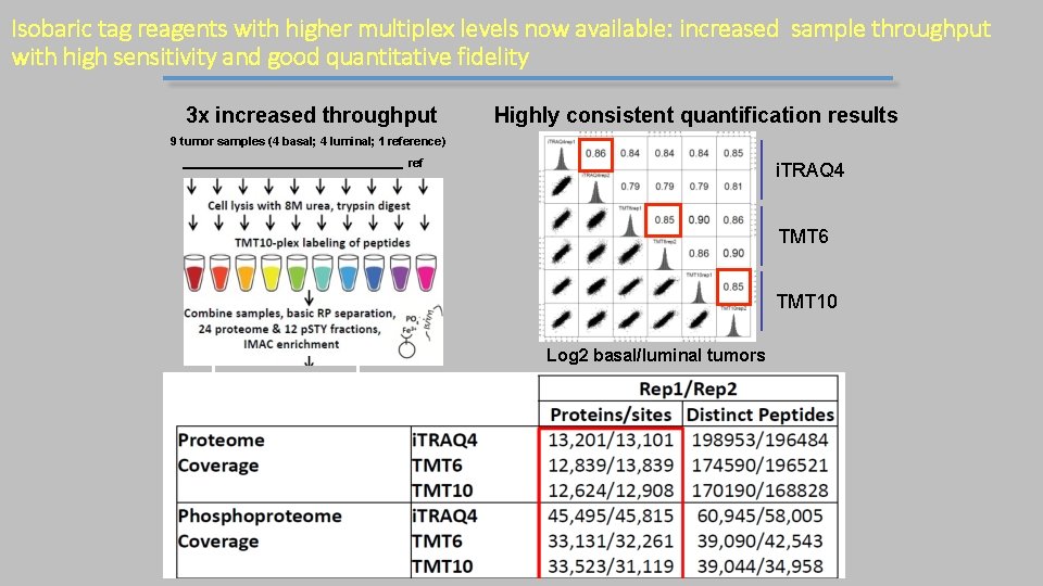 Isobaric tag reagents with higher multiplex levels now available: increased sample throughput with high