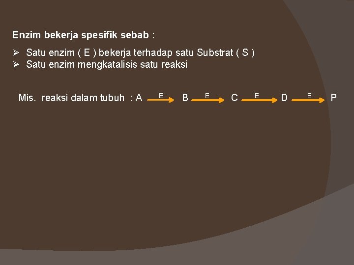 Enzim bekerja spesifik sebab : Ø Satu enzim ( E ) bekerja terhadap satu