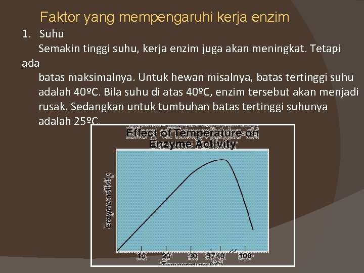 Faktor yang mempengaruhi kerja enzim 1. Suhu Semakin tinggi suhu, kerja enzim juga akan