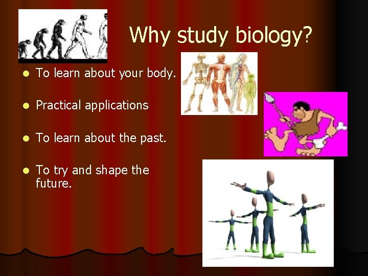 Why study biology? l To learn about your body. l Practical applications l To Why study biology? l To learn about your body. l Practical applications l To