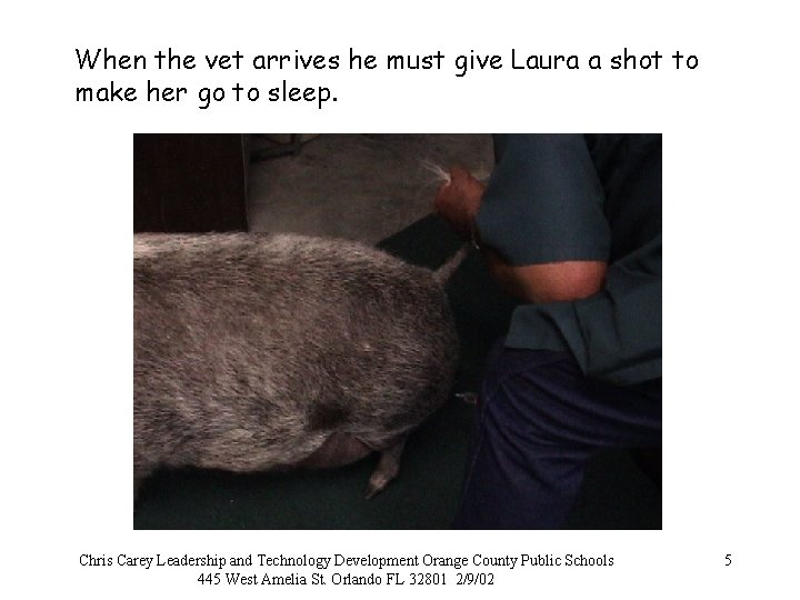 When the vet arrives he must give Laura a shot to make her go