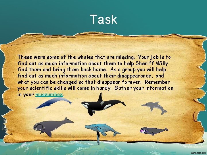 Task These were some of the whales that are missing. Your job is to