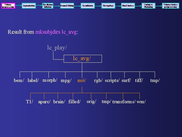 Volume preprocessing Segmentation Tessellation Inflation Manual Editing Re-inflation Fix topology Final Surface Cutting &