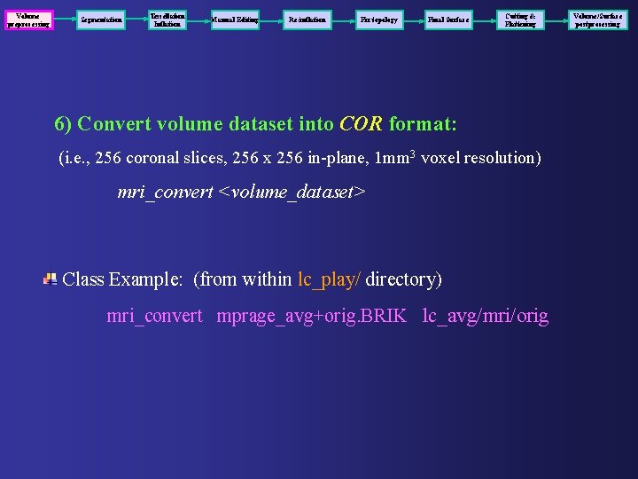 Volume preprocessing Segmentation Tessellation Inflation Manual Editing Re-inflation Fix topology Final Surface Cutting &