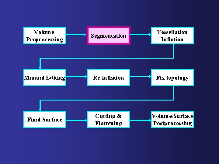 Volume Preprocessing Segmentation Tessellation Inflation Manual Editing Re-inflation Fix topology Final Surface Cutting &