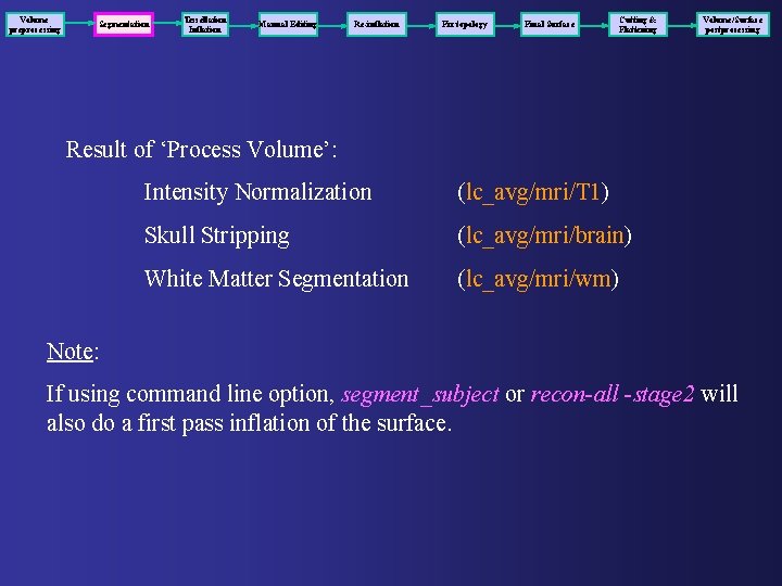 Volume preprocessing Segmentation Tessellation Inflation Manual Editing Re-inflation Fix topology Final Surface Cutting &