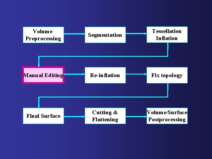 Volume Preprocessing Segmentation Tessellation Inflation Manual Editing Re-inflation Fix topology Final Surface Cutting &