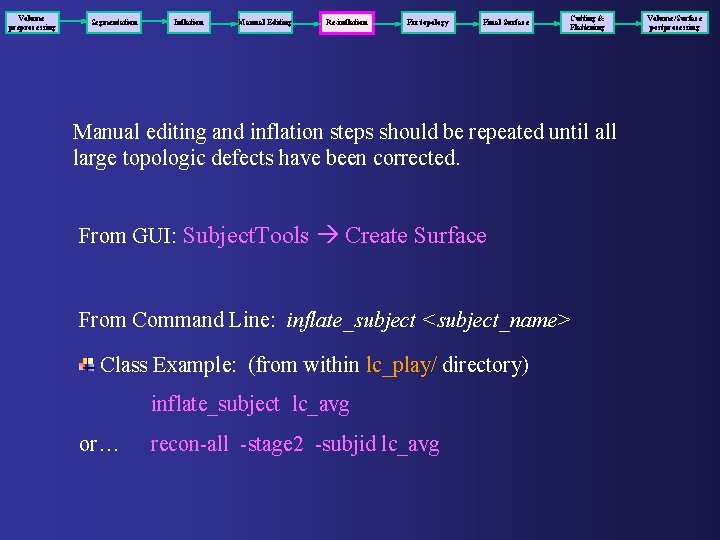 Volume preprocessing Segmentation Inflation Manual Editing Re-inflation Fix topology Final Surface Cutting & Flattening Volume preprocessing Segmentation Inflation Manual Editing Re-inflation Fix topology Final Surface Cutting & Flattening