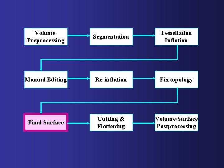 Volume Preprocessing Segmentation Tessellation Inflation Manual Editing Re-inflation Fix topology Final Surface Cutting &