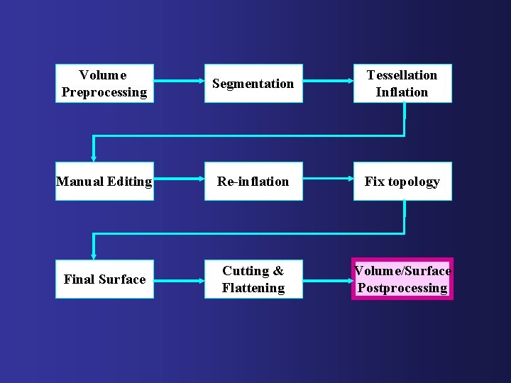 Volume Preprocessing Segmentation Tessellation Inflation Manual Editing Re-inflation Fix topology Final Surface Cutting &