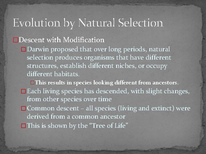 Evolution by Natural Selection �Descent with Modification � Darwin proposed that over long periods,