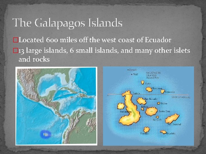 The Galapagos Islands �Located 600 miles off the west coast of Ecuador � 13