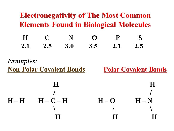 Electronegativity of The Most Common Elements Found in Biological Molecules H 2. 1 C