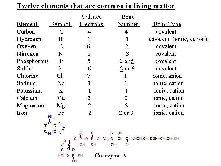 Twelve elements that are common in living matter Element Symbol Carbon C Hydrogen H