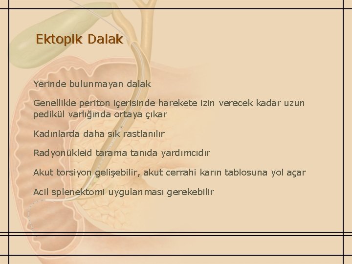 Ektopik Dalak Yerinde bulunmayan dalak Genellikle periton içerisinde harekete izin verecek kadar uzun pedikül