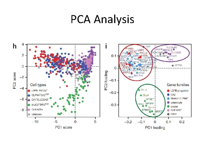 PCA Analysis 