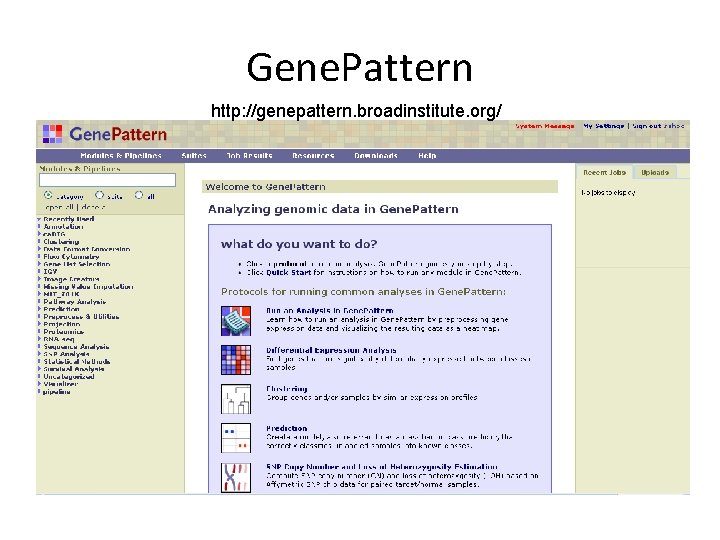 Gene. Pattern http: //genepattern. broadinstitute. org/ 