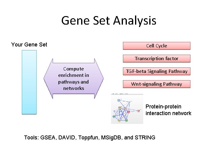 Gene Set Analysis Your Gene Set Cell Cycle Transcription factor Compute enrichment in pathways