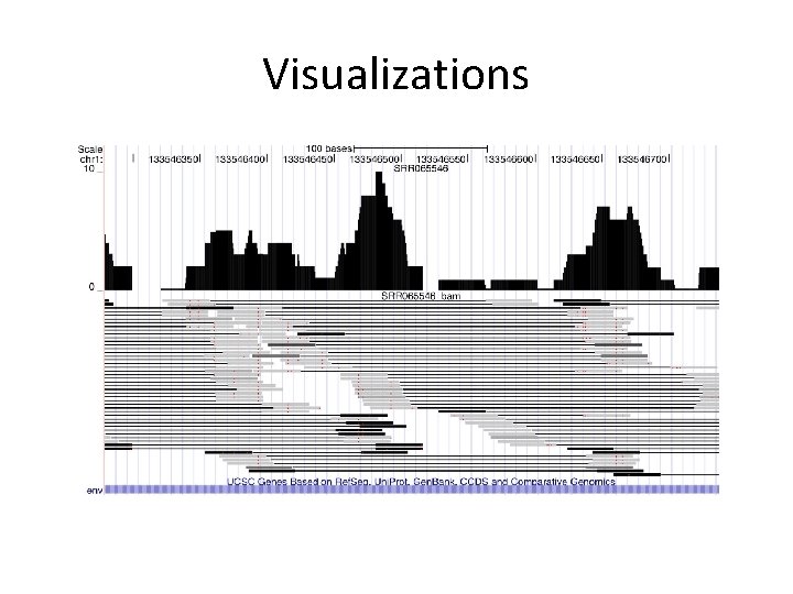 Visualizations 