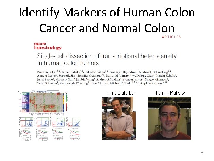 Identify Markers of Human Colon Cancer and Normal Colon Piero Dalerba Tomer Kalisky 4