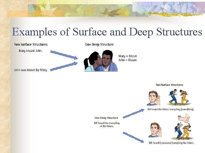 Examples of Surface and Deep Structures 