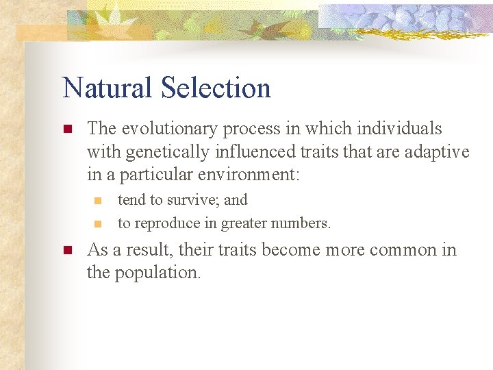 Natural Selection n The evolutionary process in which individuals with genetically influenced traits that