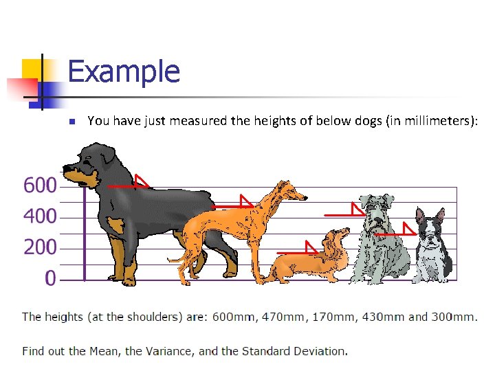 Example n You have just measured the heights of below dogs (in millimeters): 