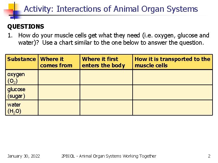 Activity: Interactions of Animal Organ Systems QUESTIONS 1. How do your muscle cells get