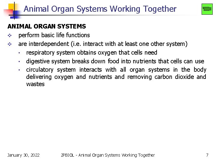 Animal Organ Systems Working Together ANIMAL ORGAN SYSTEMS v perform basic life functions v