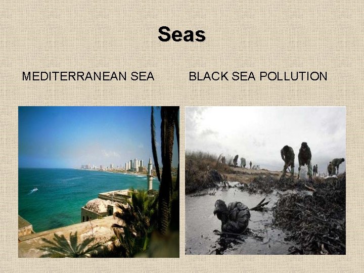 Seas MEDITERRANEAN SEA BLACK SEA POLLUTION 