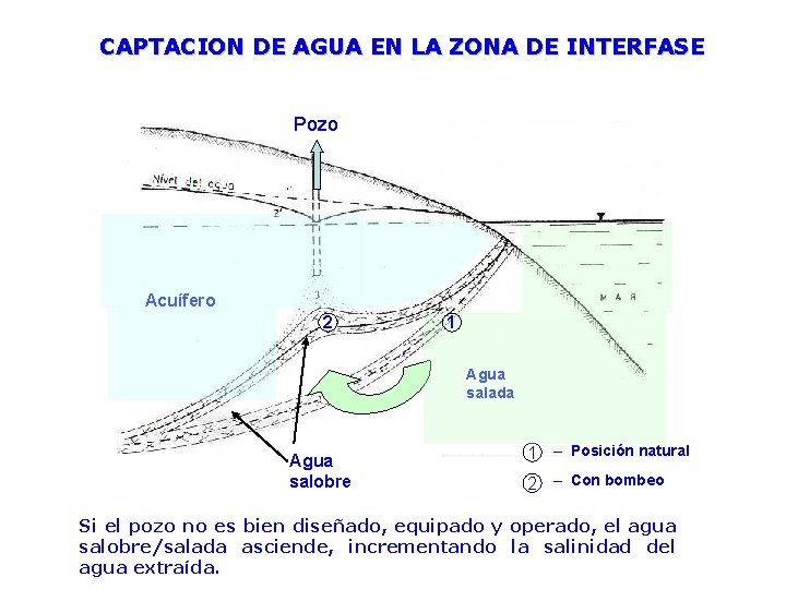 CAPTACION DE AGUA EN LA ZONA DE INTERFASE Pozo Acuífero 2 1 Agua salada