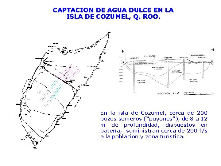 CAPTACION DE AGUA DULCE EN LA ISLA DE COZUMEL, Q. ROO. En la isla