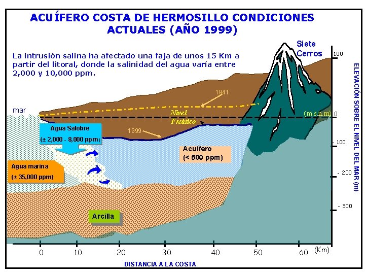 ACUÍFERO COSTA DE HERMOSILLO CONDICIONES ACTUALES (AÑO 1999) Siete Cerros 100 1941 mar Nivel