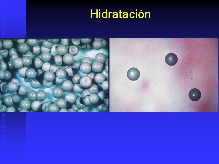 Hidratación 