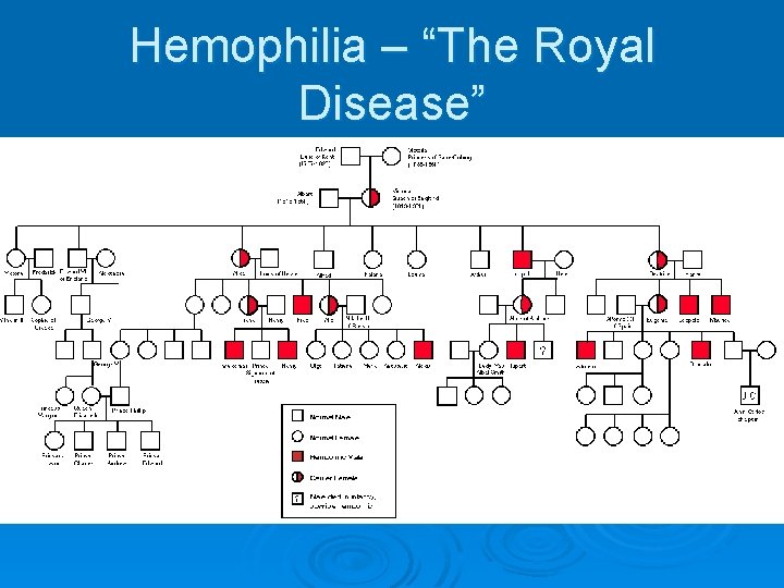 Hemophilia – “The Royal Disease” 