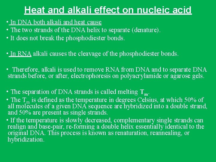 Heat and alkali effect on nucleic acid • In DNA both alkali and heat