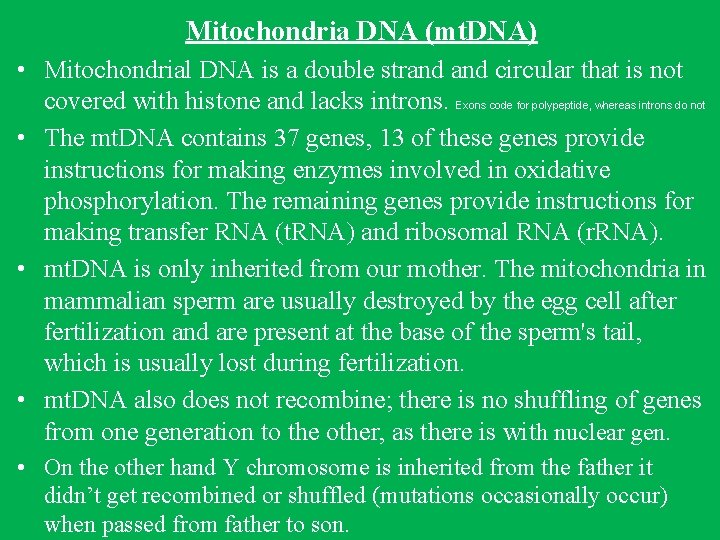 Mitochondria DNA (mt. DNA) • Mitochondrial DNA is a double strand circular that is