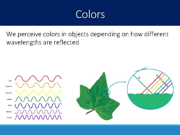 Colors We perceive colors in objects depending on how different wavelengths are reflected 