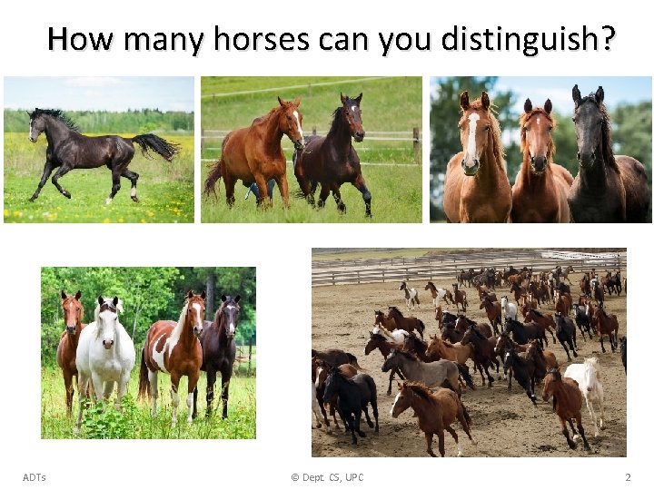 How many horses can you distinguish? ADTs © Dept. CS, UPC 2 