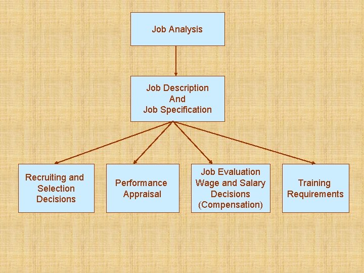 Job Analysis Job Description And Job Specification Recruiting and Selection Decisions Performance Appraisal Job