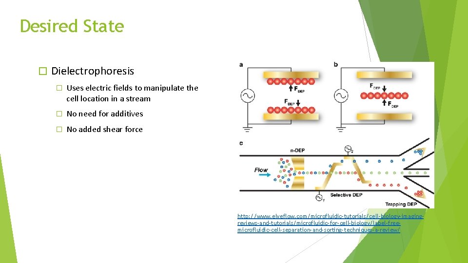 Desired State � Dielectrophoresis � Uses electric fields to manipulate the cell location in