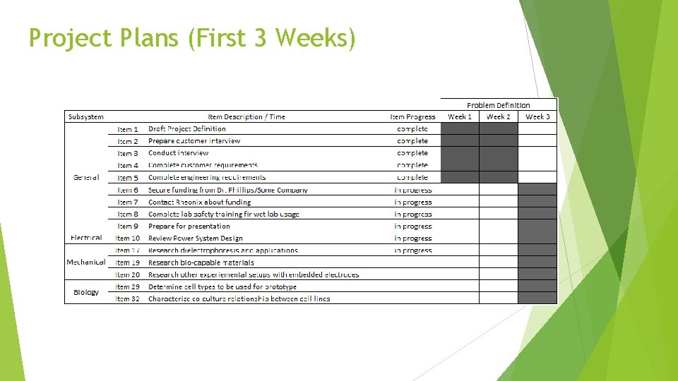 Project Plans (First 3 Weeks) 
